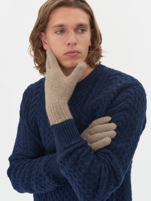 Gobi Cashmere Gloves In Taupe
