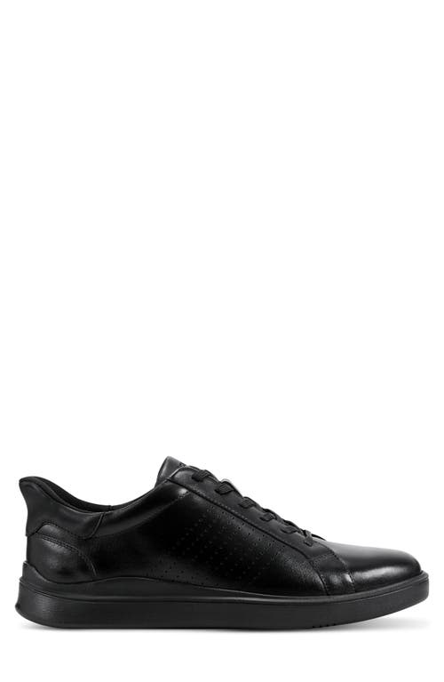 ROCKPORT ROCKPORT TRISTENL LOW TOP SNEAKER