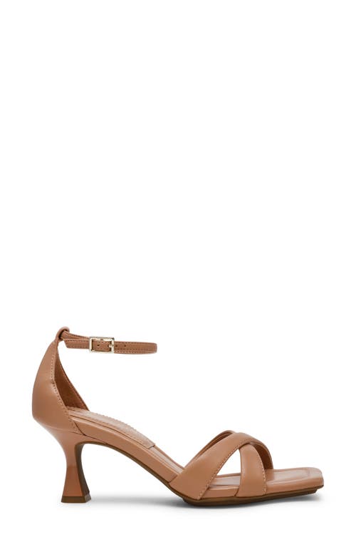 Anne Klein Joss Ankle Strap Kitten Heel Sandal In Tan