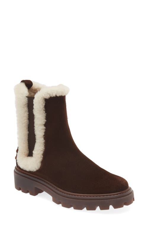 Tod's Gomma Genuine Shearling Lined Chelsea Boot in Brown at Nordstrom, Size 10Us
