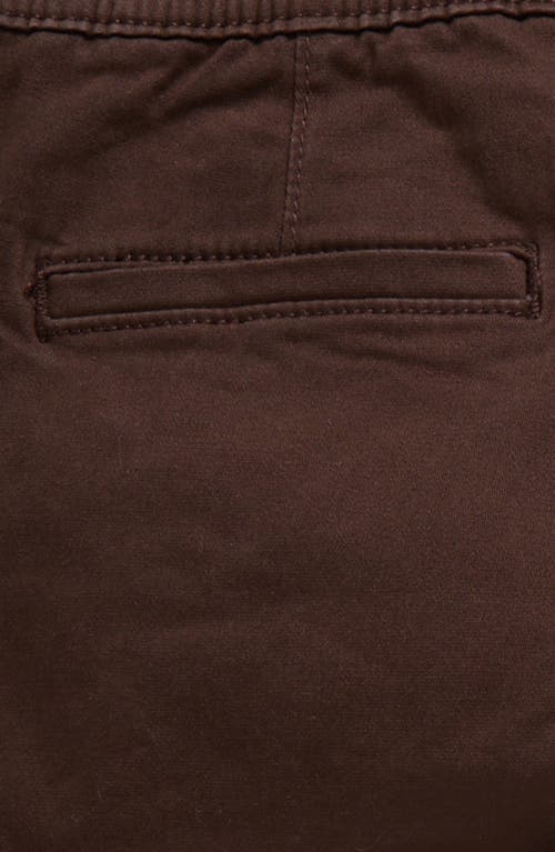 Pacsun Kids' Porter Stretch Cotton Cargo Pants In Brown