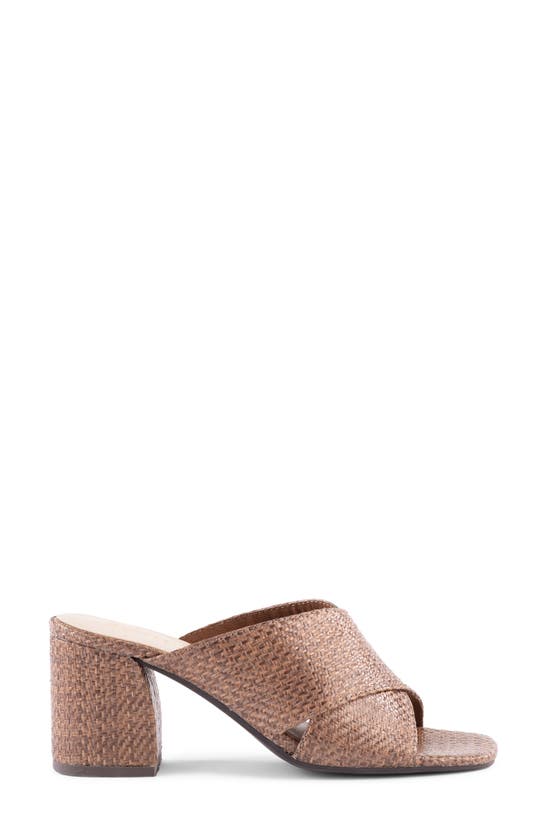 Shop Seychelles Papaya Slide Sandal In Brown