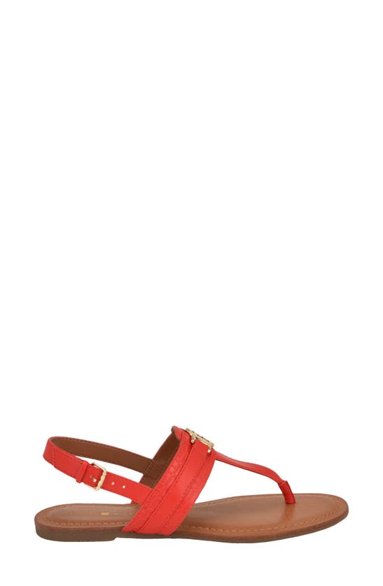 Shop Tommy Hilfiger Logo Hardware T-strap Sandal In Red