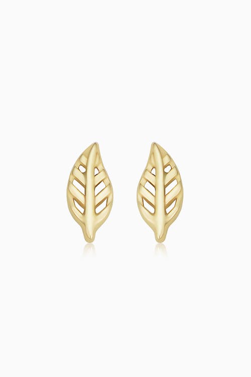 Oradina 14k Yellow Gold Leaf Your Mark Studs In Yellow Gold