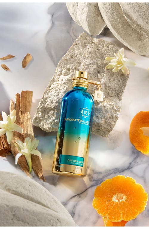 MONTALE PARIS MONTALE PARIS DAY DREAMS EAU DE PARFUM