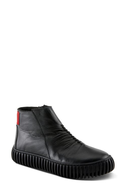 Shop Spring Step Holman High Top Sneaker In Black