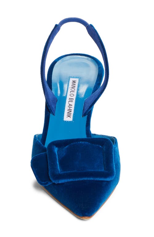 Manolo Blahnik Maysli Suede Buckle Halter Pumps In Blue