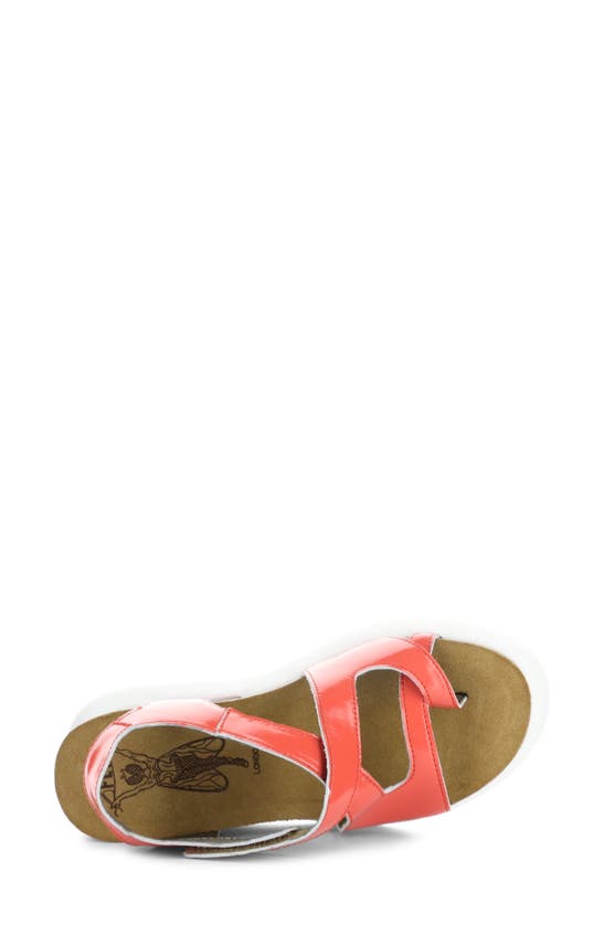 Shop Fly London Gavi Ankle Strap Platform Wedge Sandal In Scarlet Nappalak