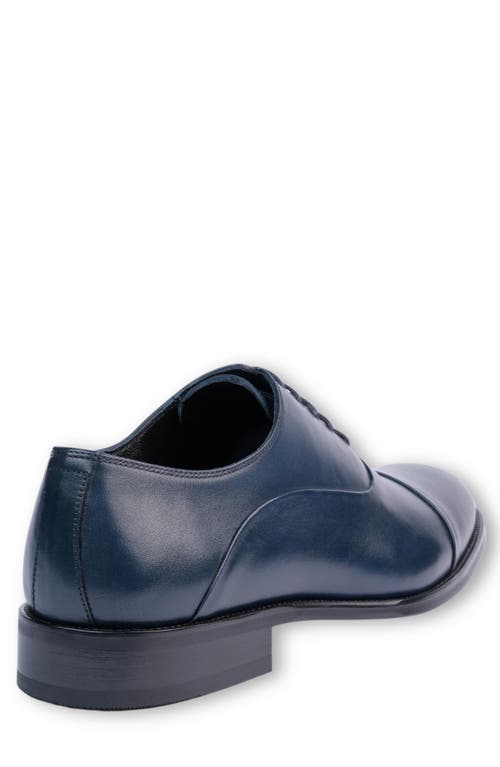 Vellapais Gambo Cap Toe Oxford Shoes In Navy Blue
