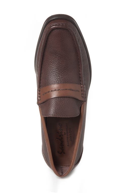 Shop Sandro Moscoloni Duero Loafer In Brown Leather