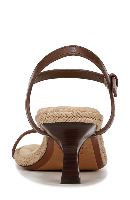 Shop Vince Coco Ankle Strap Espadrille Kitten Heel Sandal In Maple Wood