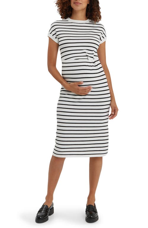 Lydia Stripe Knit Maternity Dress in Blue & White Stripe
