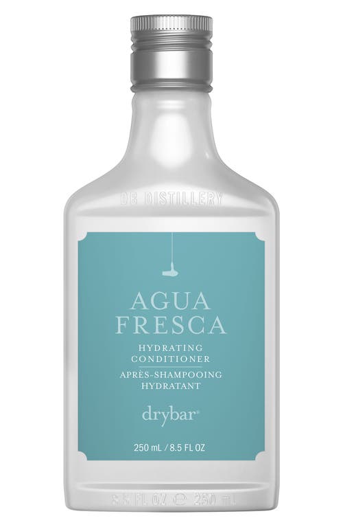 Agua Fresca Hydrating Conditioner
