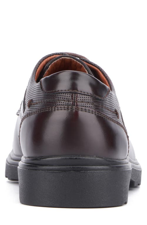 X-ray Xray Dawson Brogue Derby In Coffee Bean