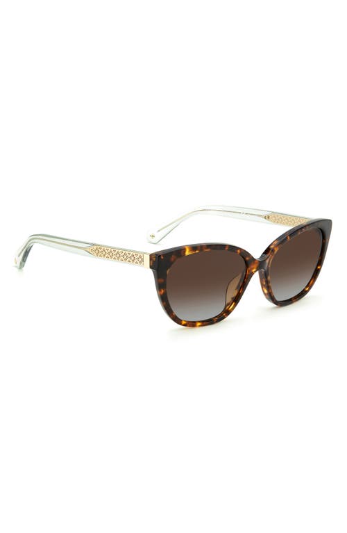 Kate Spade New York Phillipa 54mm Gradient Cat Eye Sunglasses In Havana/brown Sf Polar