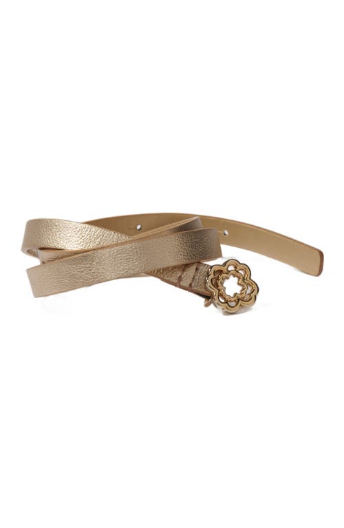 Maje Slim Belt With Clover Buckle In Light Gold