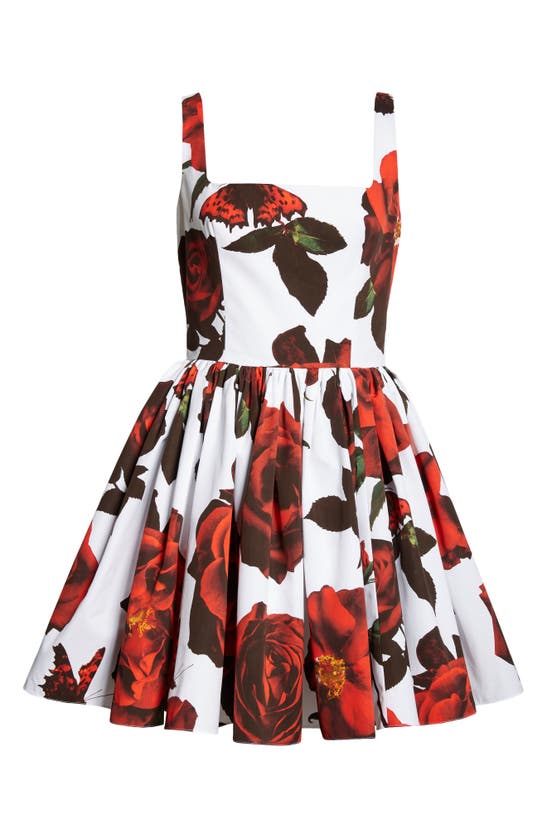 Shop Alexander Mcqueen Rose Pleated Cotton Skater Dress In Opticalwhite