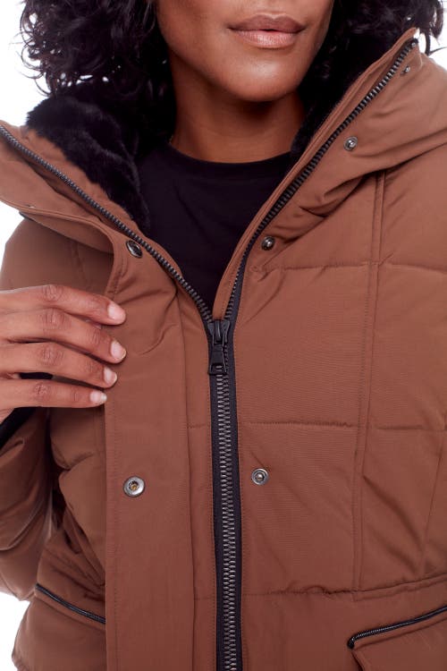 Shop Alpine North Kootney In Maple