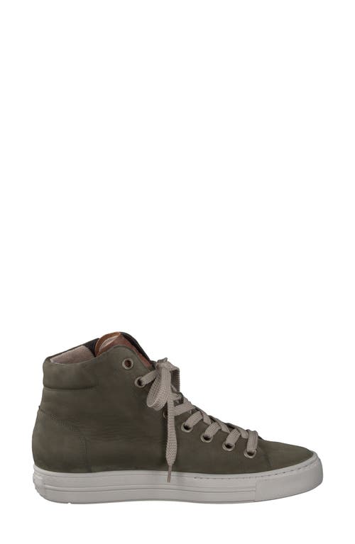 Paul Green Wells High Top Sneaker In Olive Cognac Combo