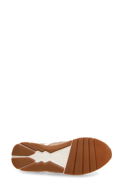 Shop Voile Blanche Julia Sneaker In Beige