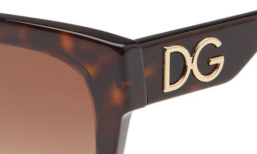 Dolce & Gabbana 53mm Gradient Cat Eye Sunglasses In Havana/brown Gradient