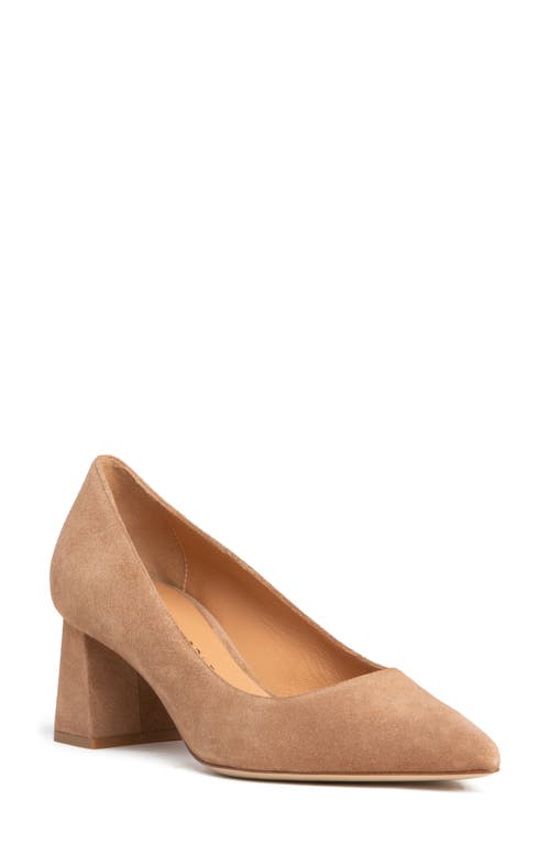 Beautiisoles Corina Pointed Toe Pump In Camel