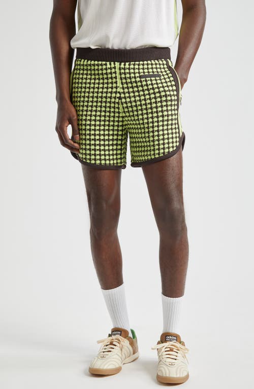 ADIDAS x Wales Bonner Textured Knit Shorts Semi Frozen Yellow/night Brown at Nordstrom,