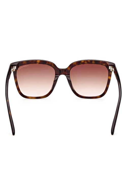 Tom Ford 55mm Butterfly Sunglasses In Dark Havana/gradient Brown
