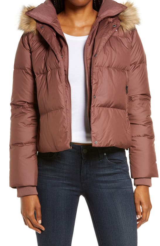 The North Face Dealio 550 Fill Power Crop Hooded Down Jacket In Marron Purple Modesens