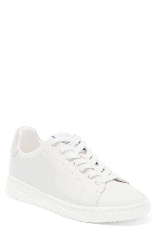 Steve Madden Elsin Sneaker in White Leather at Nordstrom, Size 5.5