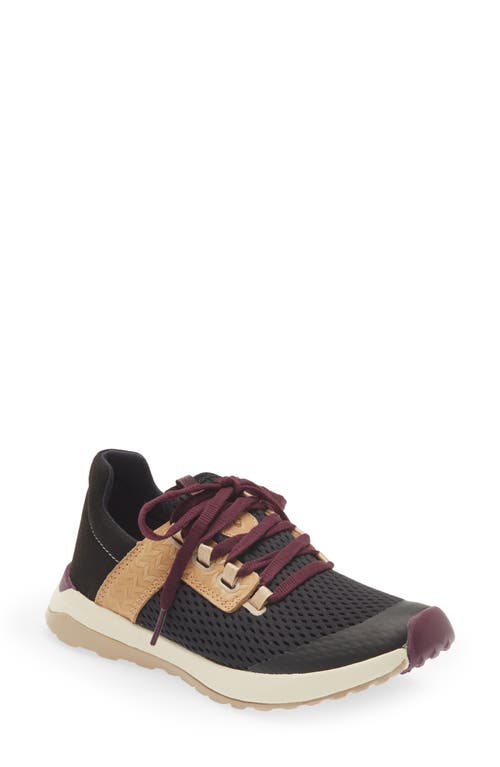 Shop Olukai Wailuku Sneaker In Black/black