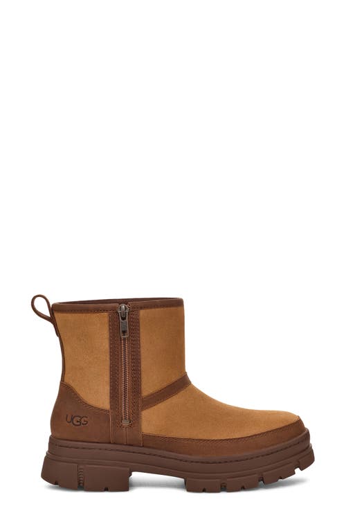 Shop Ugg(r) Ashton Zip Waterproof Boot In Chestnut