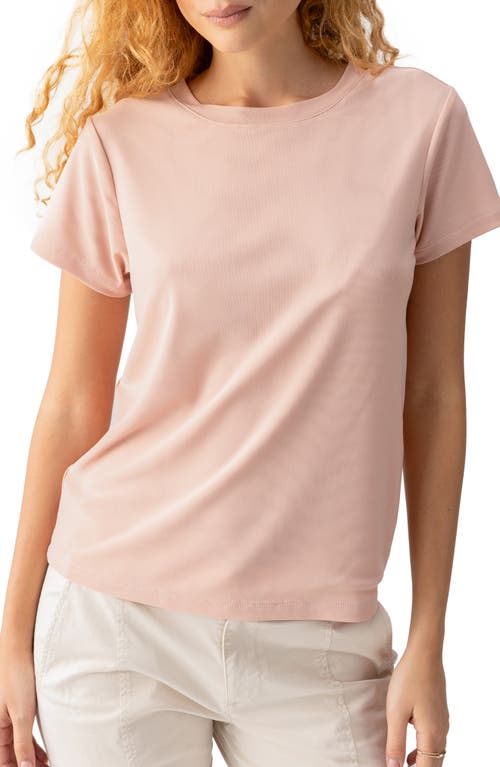 Sanctuary Perfect Mesh T-Shirt at Nordstrom,