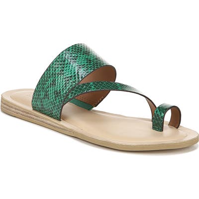 Sarto By Franco Sarto Leila Toe Loop Sandal- Green