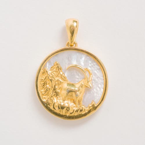 Freya Rose Zodiac Necklace In Capricorn