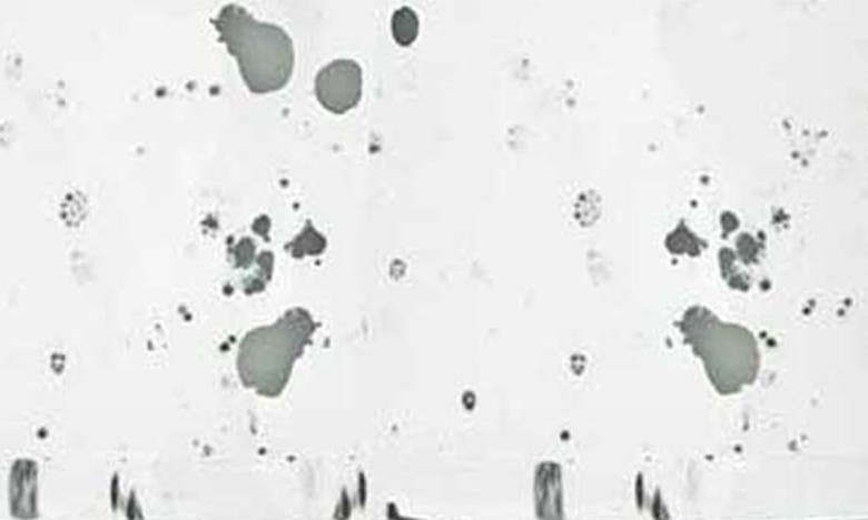 Voluspa Silver Birch Peppercorn Large Jar Candle 18 Oz. In Silver Birch