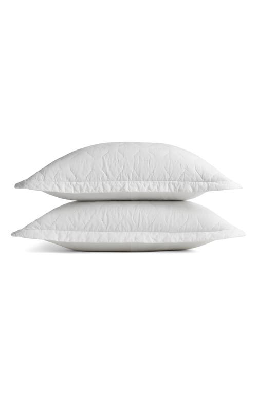 Shop Parachute Soft Stitch Set Of 2 Organic Cotton Pillow Shams In White