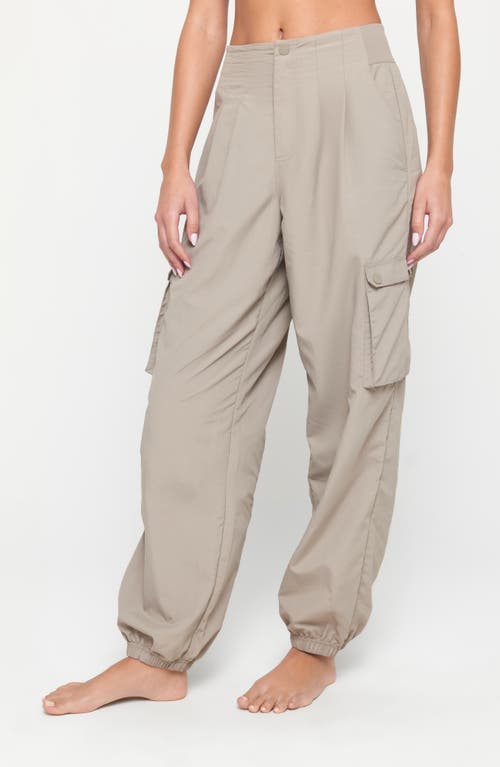 Shop Spiritual Gangster Talyor Nylon Cargo Jogger Pants In Taupe