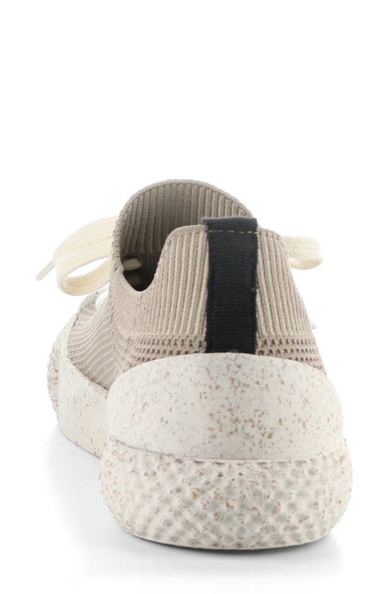 Shop Fly London Trip Sneaker In Taupe