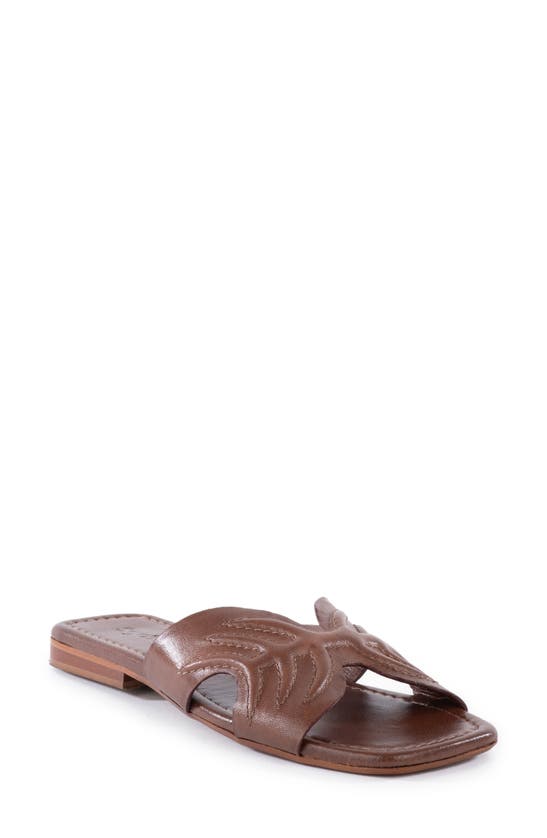 Shop Seychelles Madhu Slide Sandal In Brown