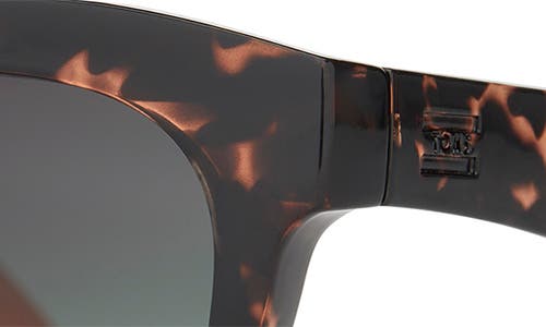 Toms Florentin 52mm Cat Eye Sunglasses In Tortoise Apricot Crystal Fade