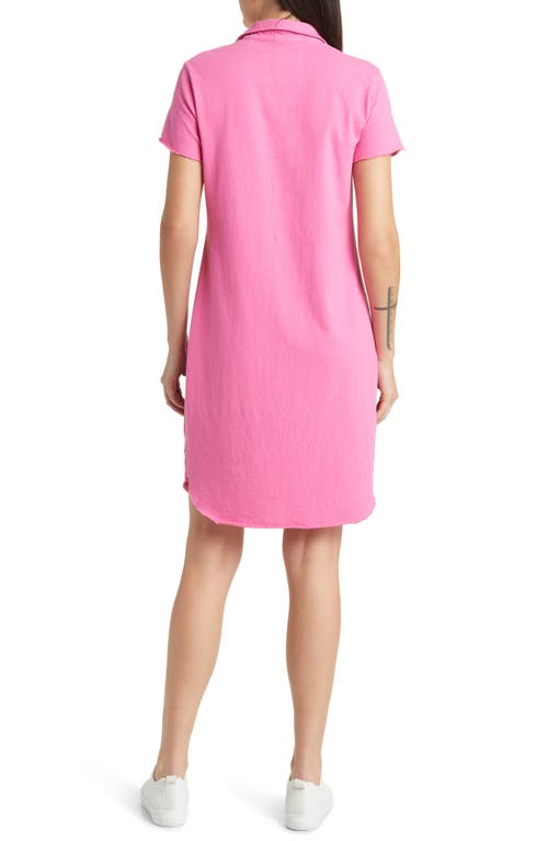 Shop Frank & Eileen Lauren Polo Dress In Bubblegum