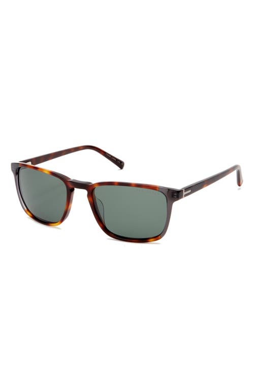 Ted Baker London 56mm Polarized Square Sunglasses In Tortoise