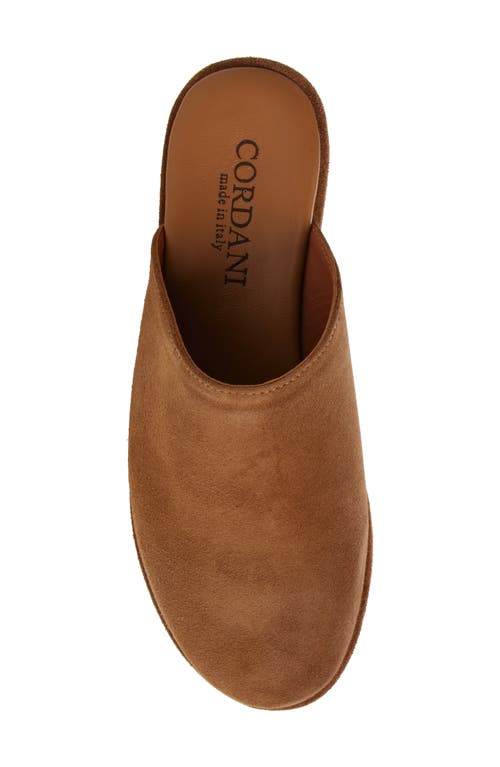 Cordani Camryn Platform Wedge Mule In Clove Suede