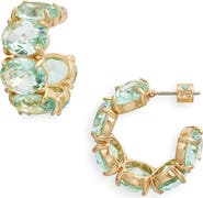 Roxanne assoulin clip on sale earrings