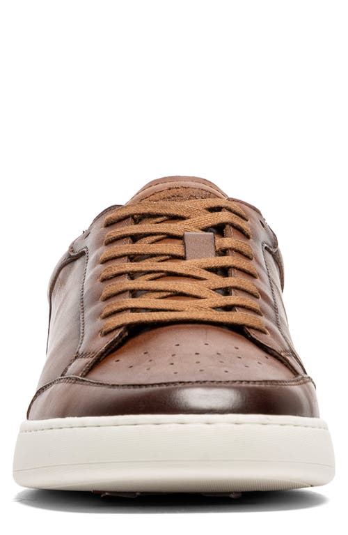 Shop Rodd & Gunn Sussex Street Sneaker In Cognac