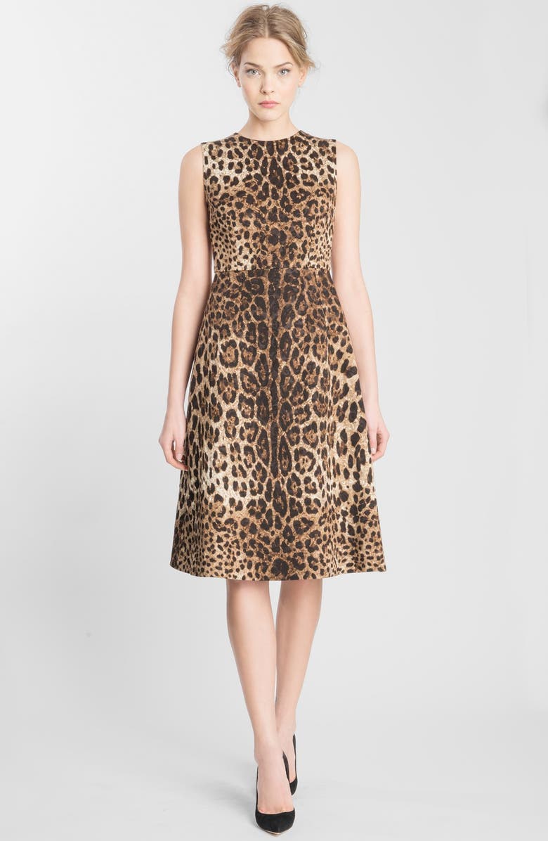 Dolce&Gabbana Leopard Print Fit & Flare Dress | Nordstrom