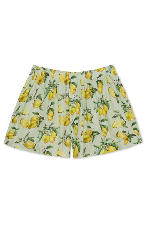 Druthers Nyc Organic Cotton Watercolor Lemons Boxer Short In Mint