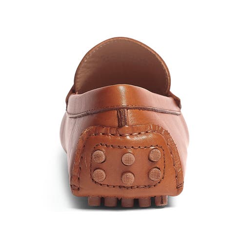 Carlos Santana Ritchie Penny Loafer In Tan