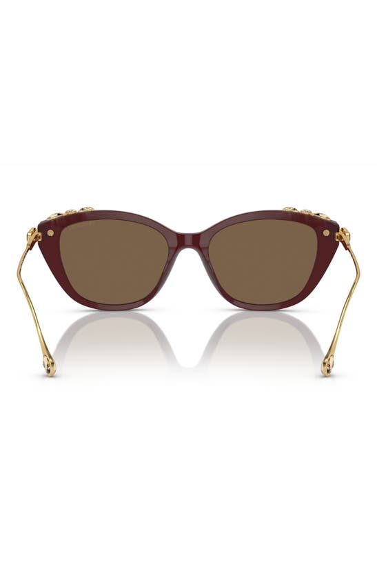 Shop Swarovski 53mm Cat Eye Sunglasses In Dark Brown